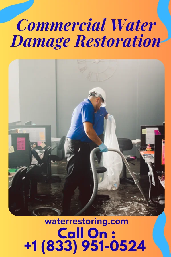 Commercial Water Damage Restoration in Texline, TX