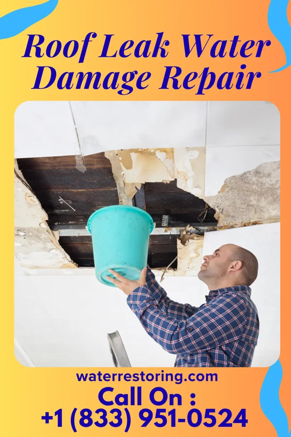 Roof Leak Water Damage Repair in Texline, TX